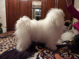 <b>The night before the show</b>