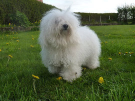 <b>Relaxing after a show 2011</b>