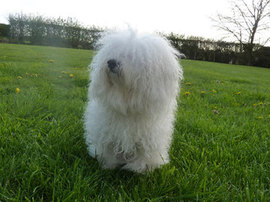 <b>Relaxing after a show 2011</b>