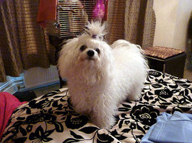 <b>Posing for the camera</b>