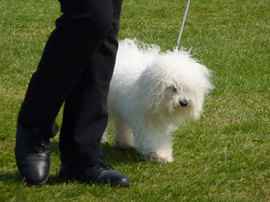 <b>Struttin' my stuff again!</b>